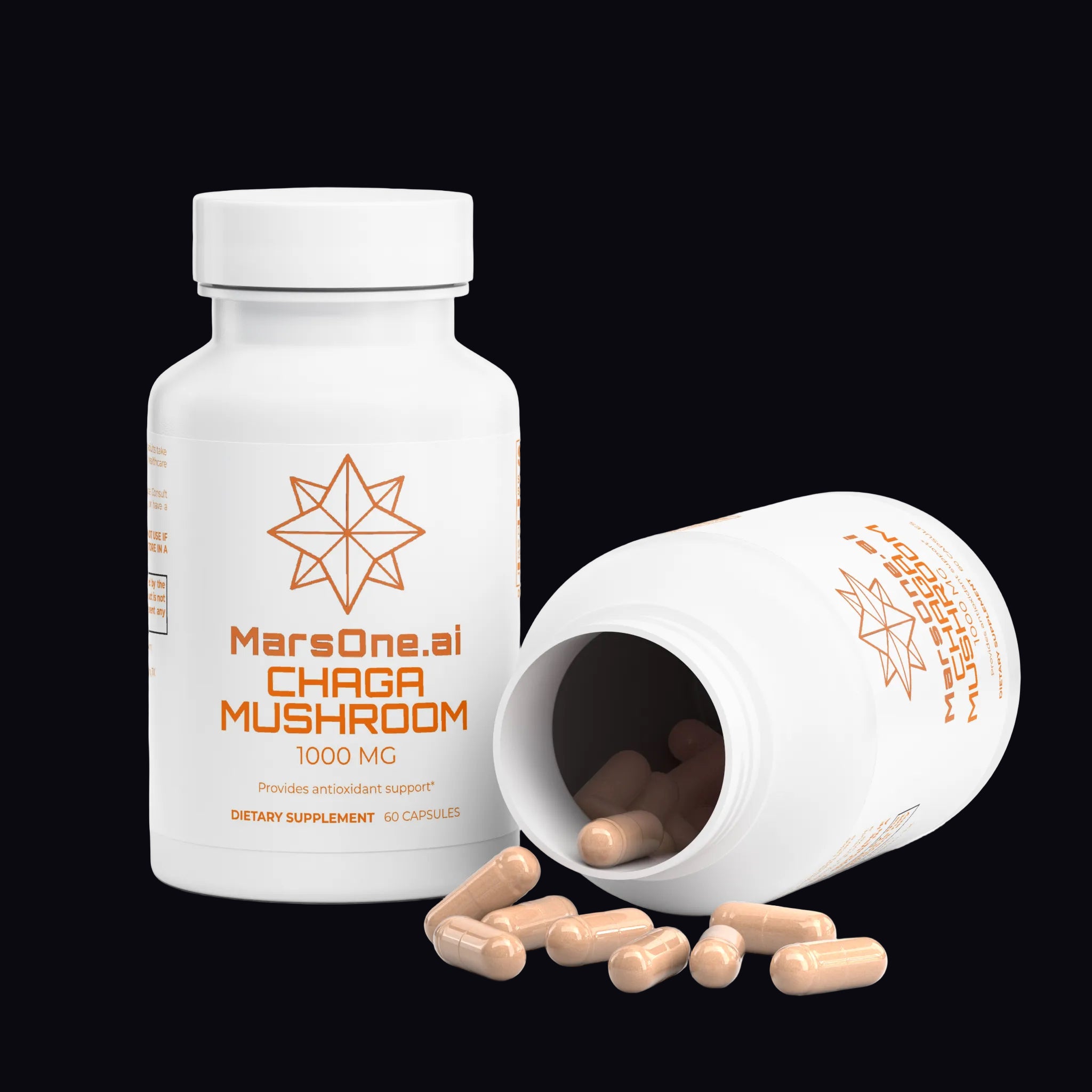 Chaga Mushroom